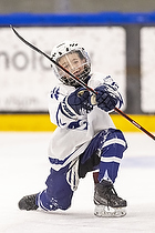 Klik for at se eller bestil foto