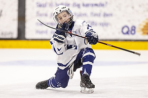 Klik for at se eller bestil foto