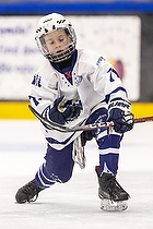 Klik for at se eller bestil foto