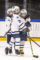 Klik for at se eller bestil foto