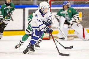 Klik for at se eller bestil foto