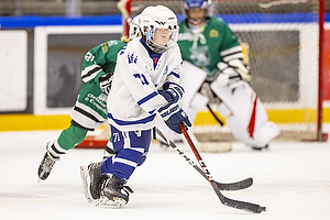 Klik for at se eller bestil foto