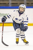 Klik for at se eller bestil foto