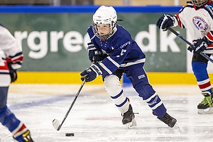 Klik for at se eller bestil foto