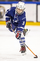 Klik for at se eller bestil foto