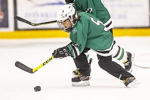 Klik for at se eller bestil foto