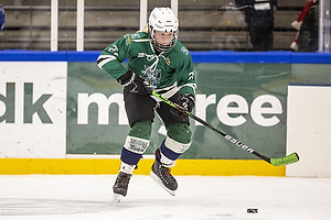 Klik for at se eller bestil foto