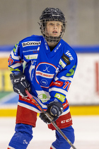 Klik for at se eller bestil foto