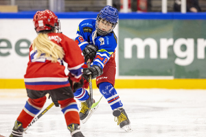 Klik for at se eller bestil foto