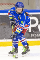 Klik for at se eller bestil foto