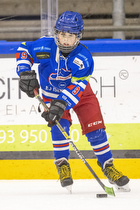 Klik for at se eller bestil foto