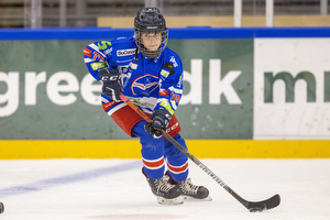 Klik for at se eller bestil foto