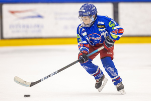 Klik for at se eller bestil foto