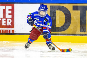 Klik for at se eller bestil foto