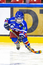 Klik for at se eller bestil foto