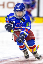 Klik for at se eller bestil foto