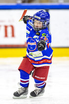Klik for at se eller bestil foto