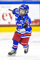 Klik for at se eller bestil foto