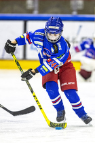 Klik for at se eller bestil foto