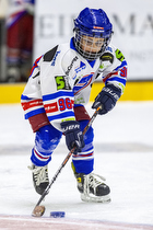 Klik for at se eller bestil foto