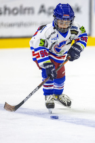 Klik for at se eller bestil foto