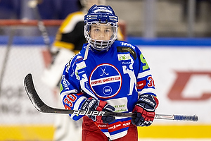 Klik for at se eller bestil foto