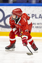 Klik for at se eller bestil foto