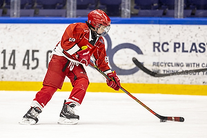 Klik for at se eller bestil foto