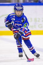 Klik for at se eller bestil foto