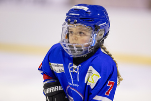 Klik for at se eller bestil foto