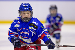 Klik for at se eller bestil foto
