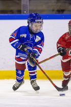 Klik for at se eller bestil foto