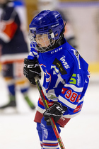 Klik for at se eller bestil foto