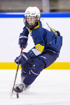 Klik for at se eller bestil foto