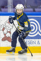 Klik for at se eller bestil foto