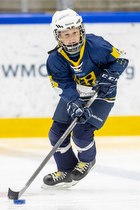 Klik for at se eller bestil foto