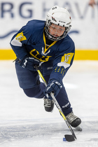 Klik for at se eller bestil foto