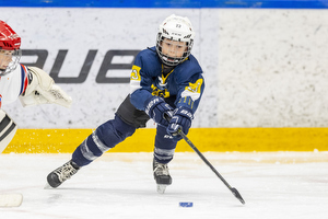 Klik for at se eller bestil foto