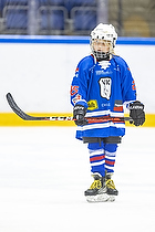 Klik for at se eller bestil foto