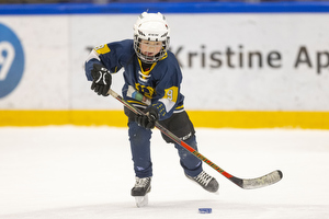 Klik for at se eller bestil foto