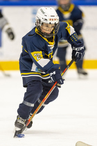 Klik for at se eller bestil foto