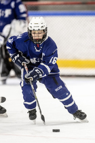 Klik for at se eller bestil foto