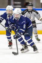 Klik for at se eller bestil foto