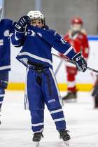 Klik for at se eller bestil foto