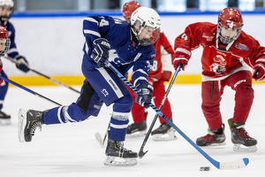 Klik for at se eller bestil foto