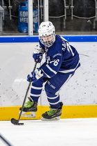 Klik for at se eller bestil foto