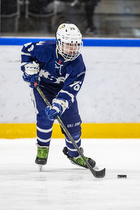 Klik for at se eller bestil foto