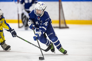 Klik for at se eller bestil foto