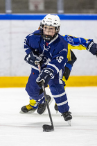 Klik for at se eller bestil foto