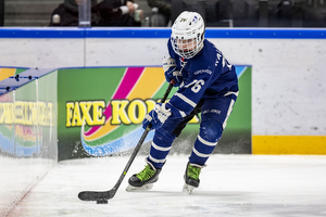 Klik for at se eller bestil foto